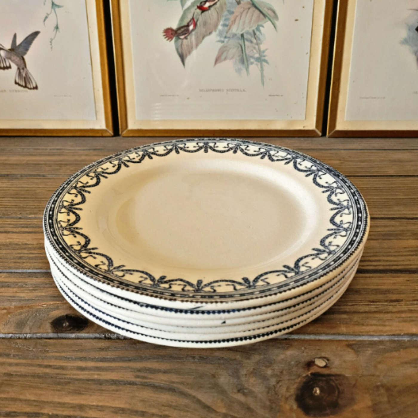 Salins assiettes terre de fer Guirlandes Louix XVI fin 19ème