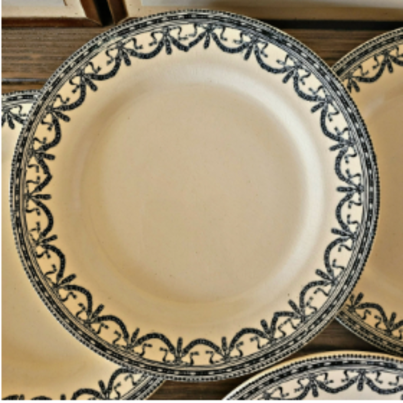 Salins assiettes terre de fer Guirlandes Louix XVI fin 19ème