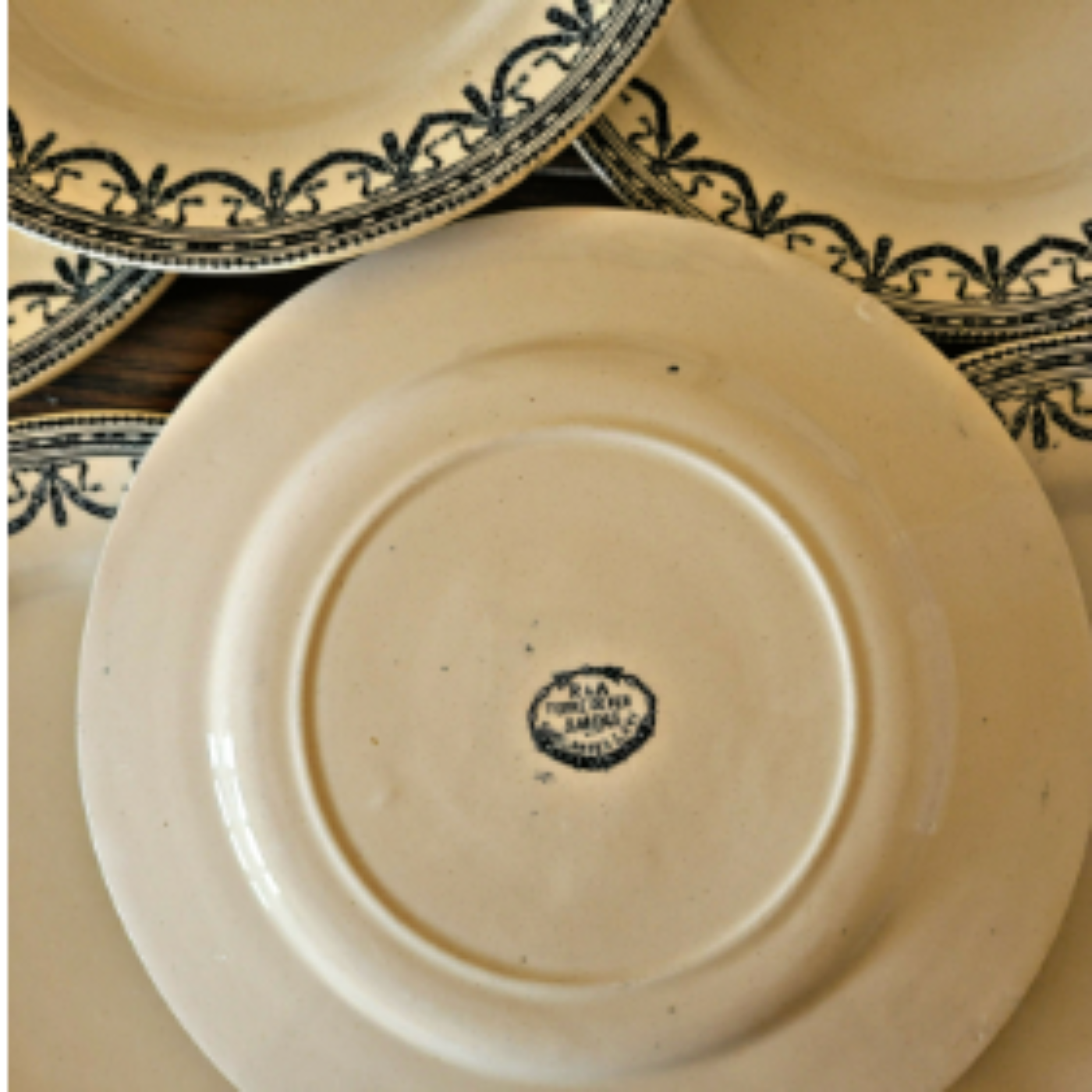 Salins assiettes terre de fer Guirlandes Louix XVI fin 19ème