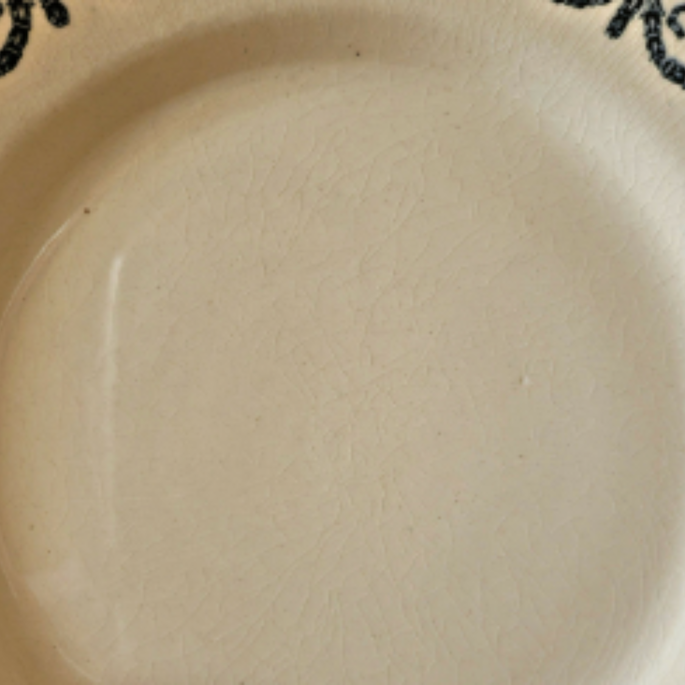 Salins assiettes terre de fer Guirlandes Louix XVI fin 19ème