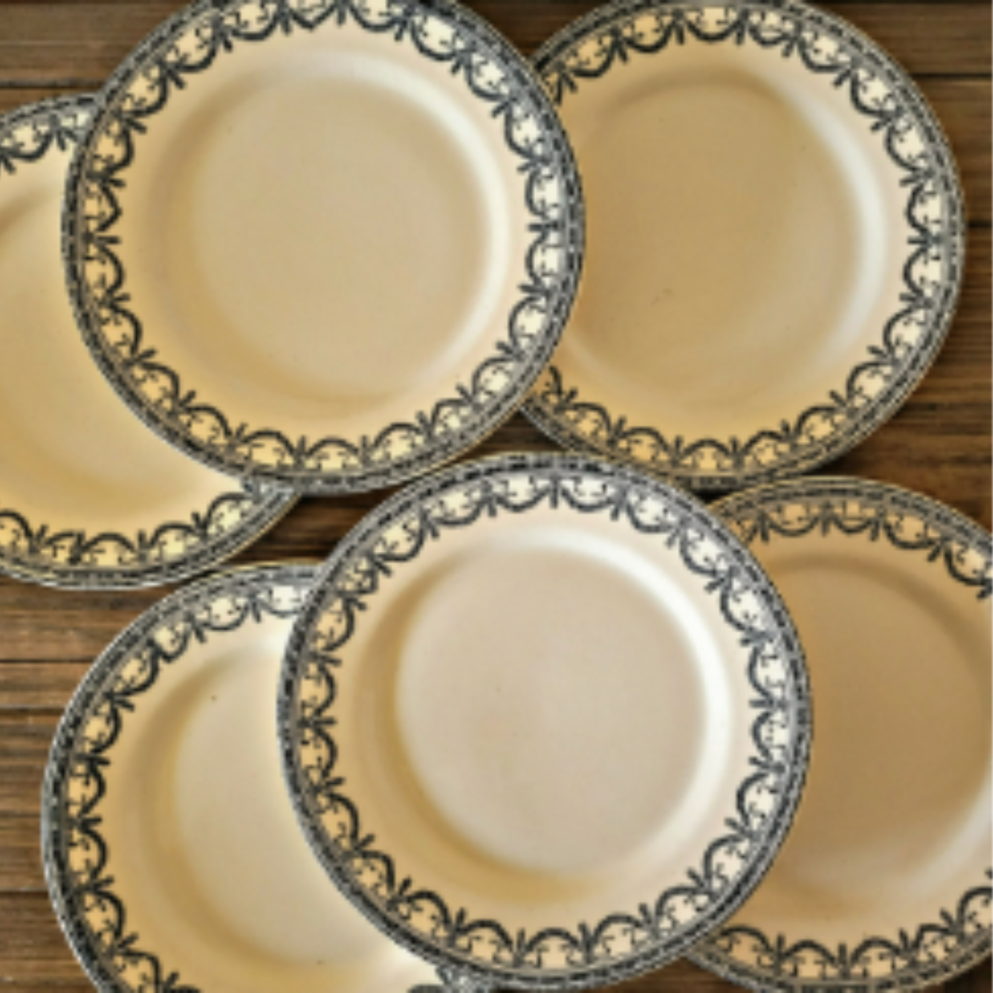 Salins assiettes terre de fer Guirlandes Louix XVI fin 19ème