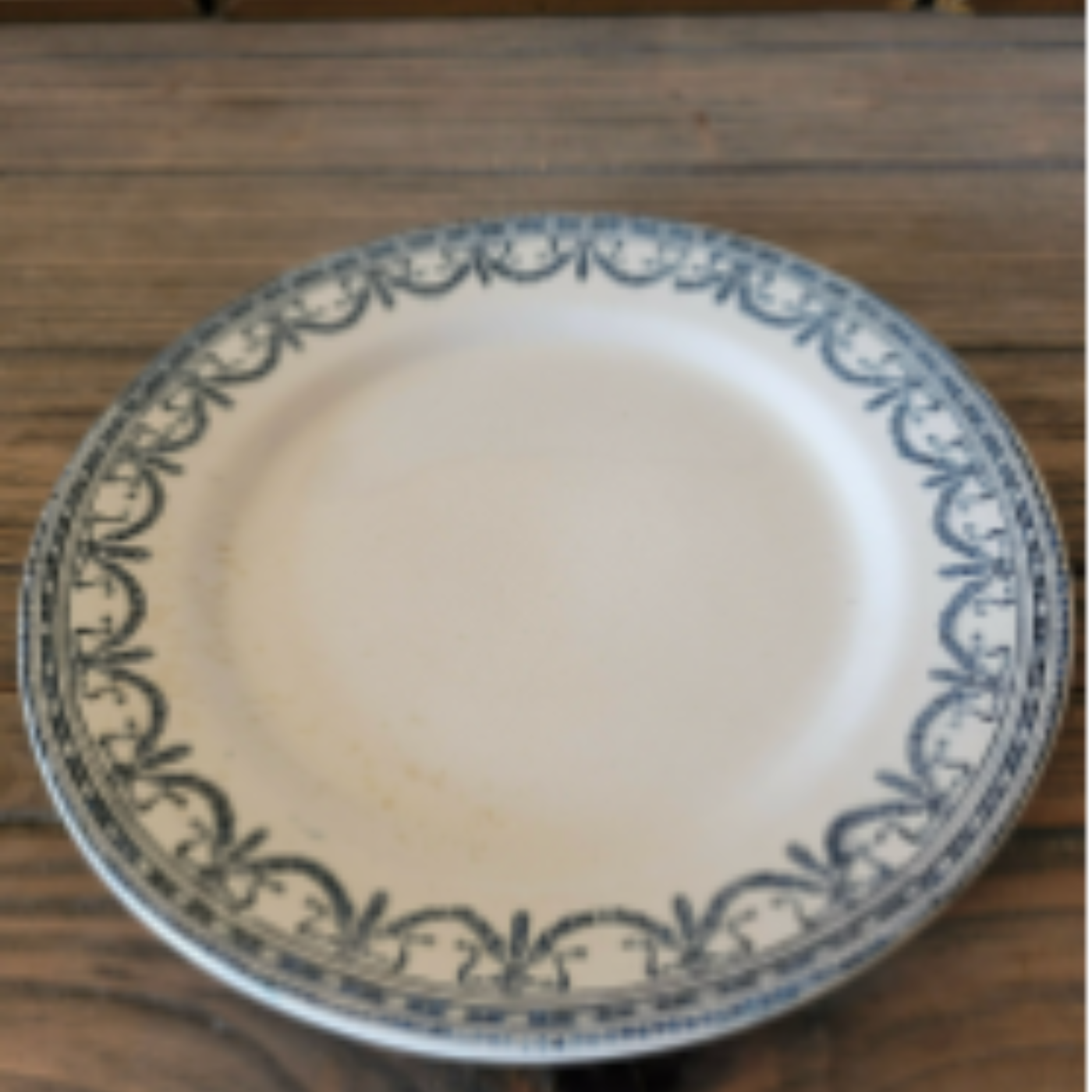 Salins assiettes terre de fer Guirlandes Louix XVI fin 19ème