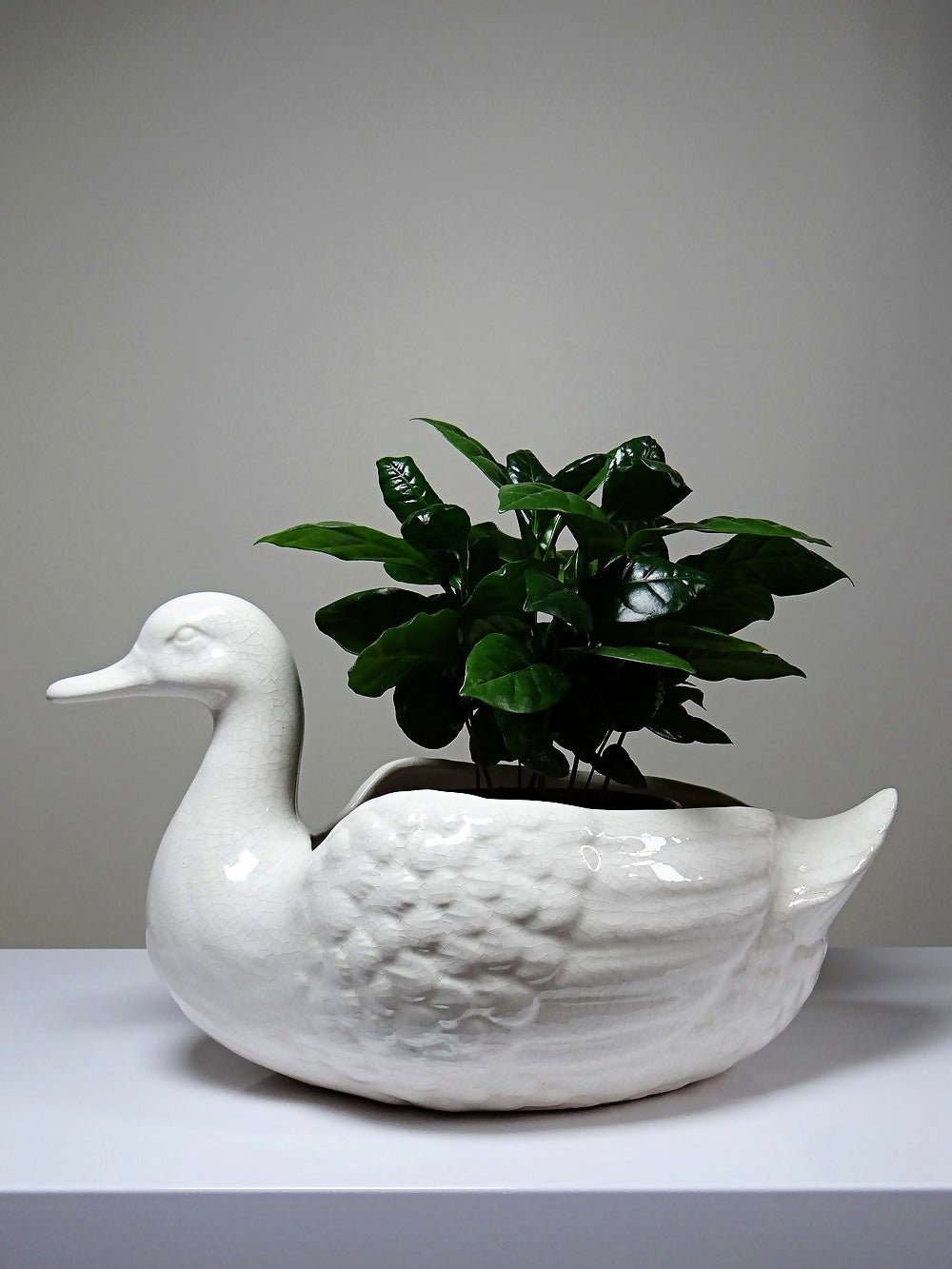 Cache pot/Coupe canard en faïence craquelée beige vintage - Ethic Atelier