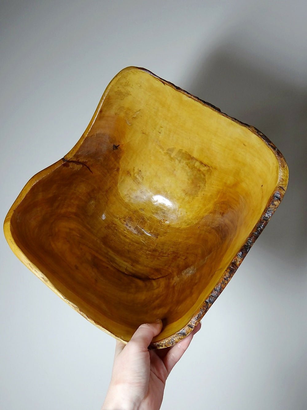 Grande coupe en bois d'olivier Riviera brutaliste artisanat circa 1950 - Ethic Atelier