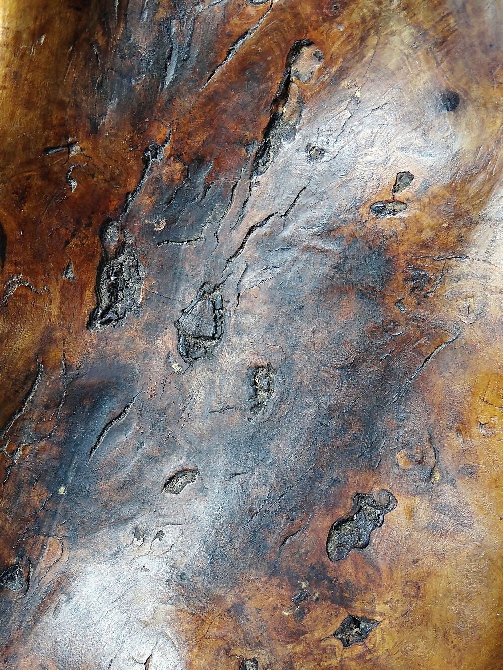 Grande coupe monoxyle en bois brut d'olivier foncé années 50 - Ethic Atelier