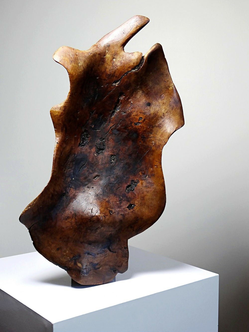 Grande coupe monoxyle en bois brut d'olivier foncé années 50 - Ethic Atelier