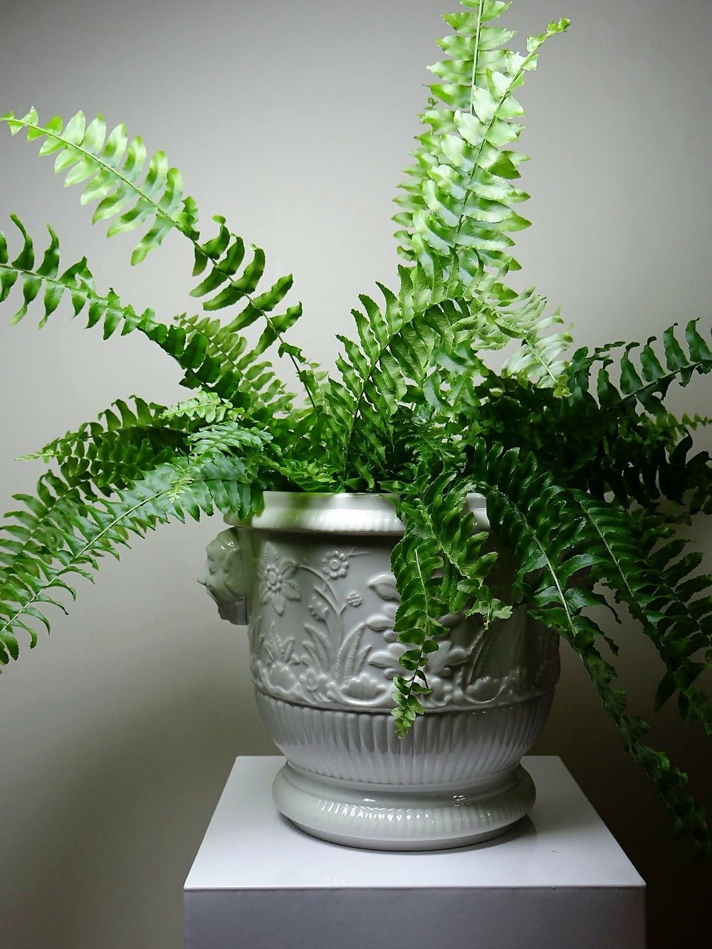 Gros cache pot/seau à champagne porcelaine Haviland Limoges repro St Cloud - Ethic Atelier