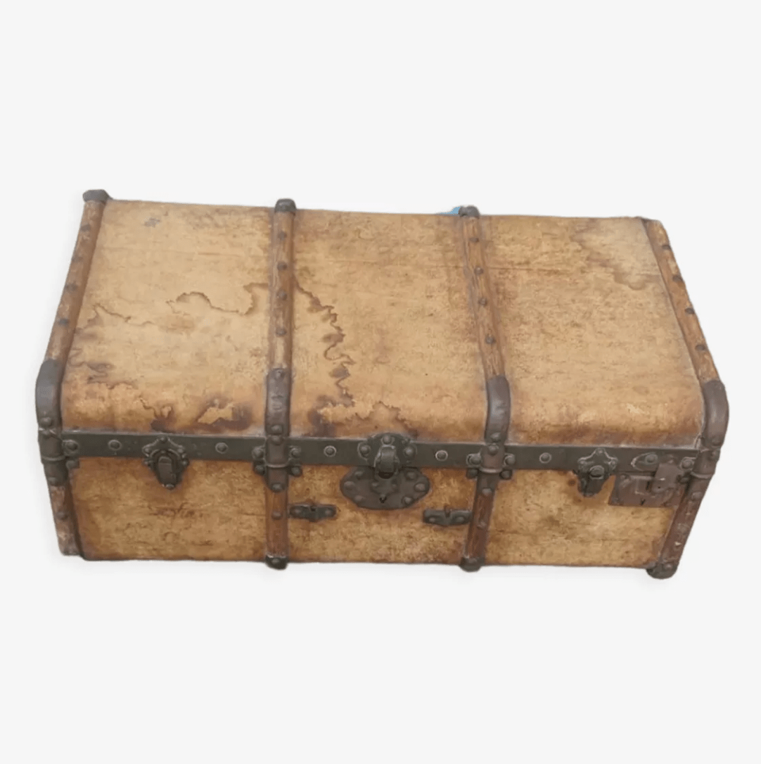 Malle de Voyage en Pécari (porc sauvage), Bois et Cuivre – Vers 1880 - Ethic Atelier