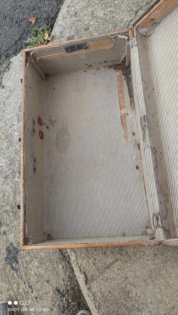 Malle de Voyage en Pécari (porc sauvage), Bois et Cuivre – Vers 1880 - Ethic Atelier