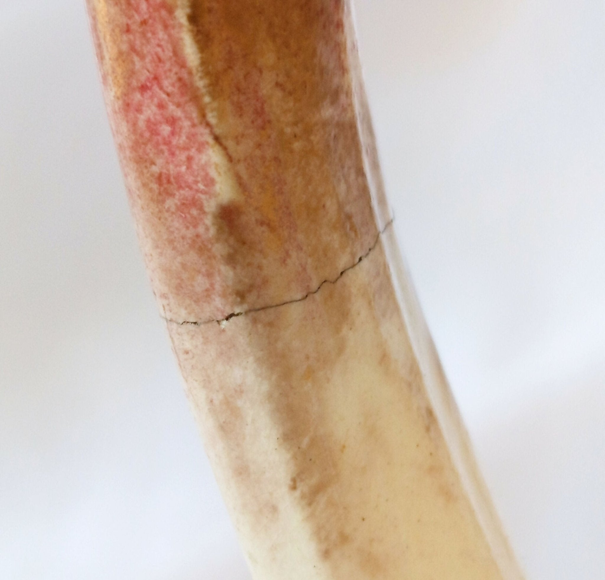 Grand broc décor clématites polychrome - Fin XIXe début XXe - Ethic Atelier