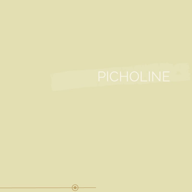 Laque Écologique Colibri - PICHOLINE - Ethic Atelier