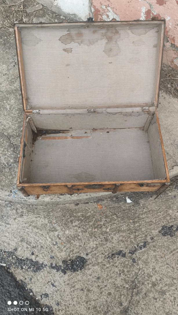 Malle de Voyage en Pécari (porc sauvage), Bois et Cuivre – Vers 1880 - Ethic Atelier