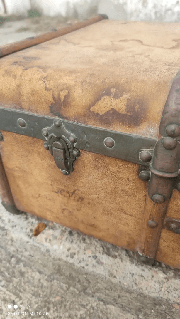 Malle de Voyage en Pécari (porc sauvage), Bois et Cuivre – Vers 1880 - Ethic Atelier