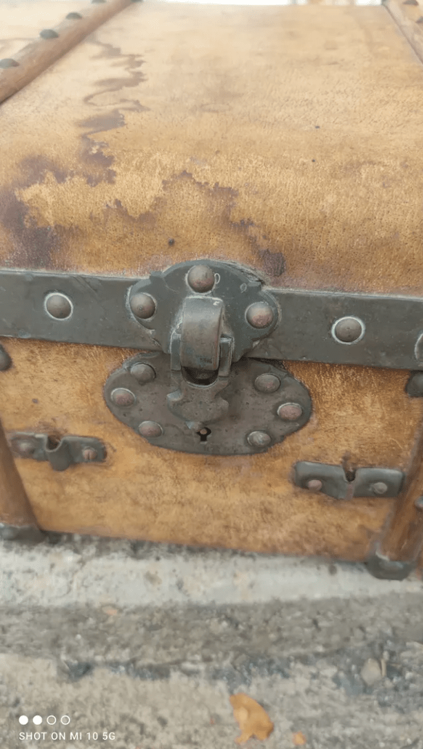 Malle de Voyage en Pécari (porc sauvage), Bois et Cuivre – Vers 1880 - Ethic Atelier