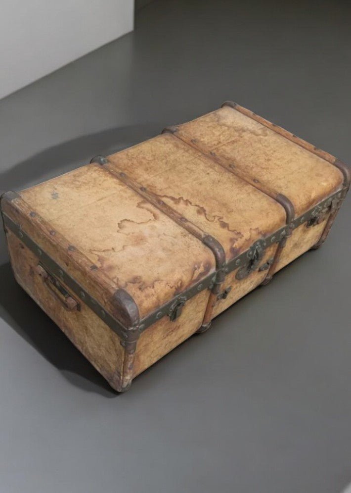 Malle de Voyage en Pécari (porc sauvage), Bois et Cuivre – Vers 1880 - Ethic Atelier