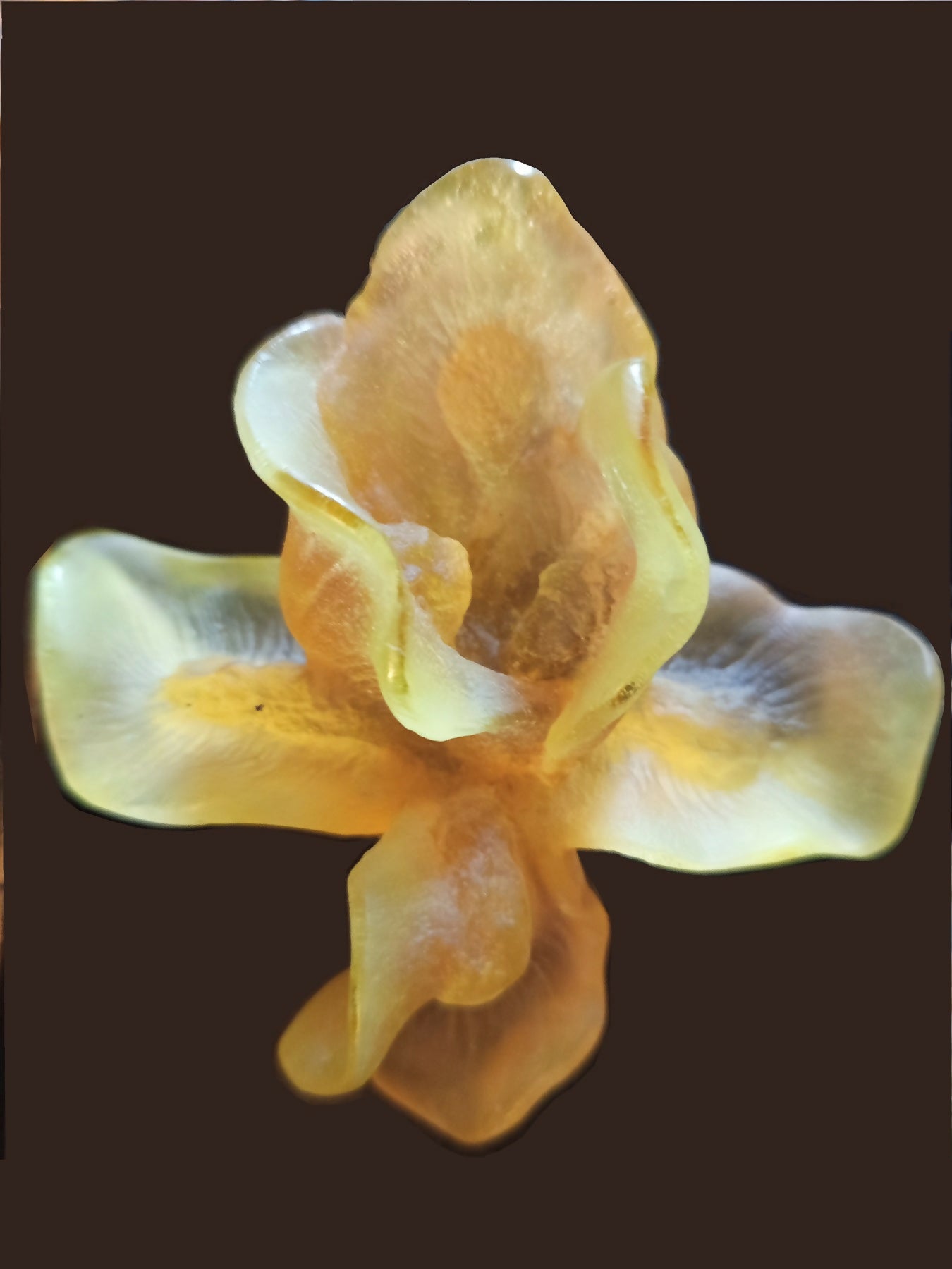 fleur Dum b1