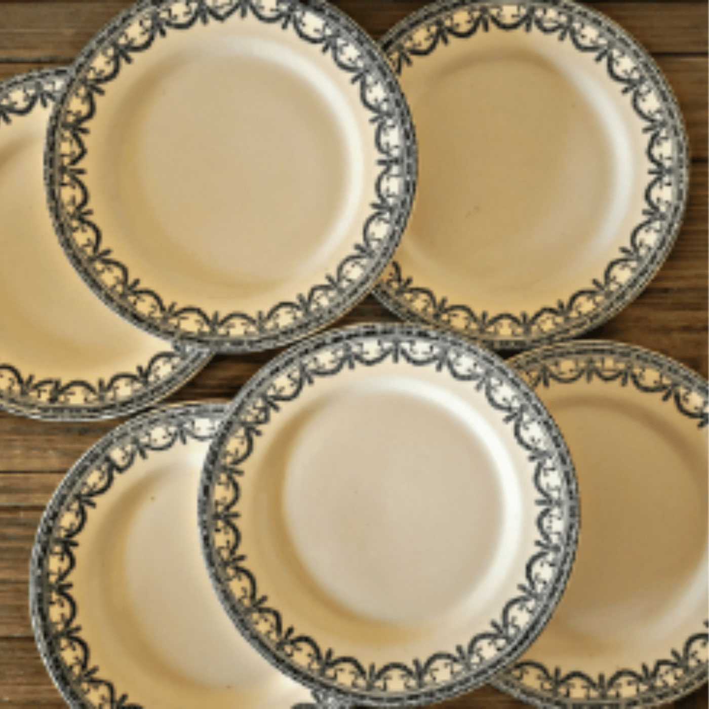 Salins assiettes terre de fer Guirlandes Louix XVI fin 19ème - Ethic Atelier